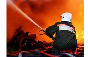 Альтернативный текст