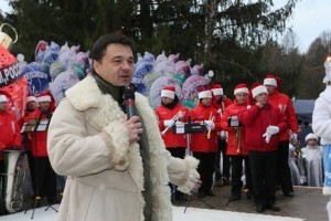 В Наро-Фоминском лесничестве срубили главную новогоднюю ель России