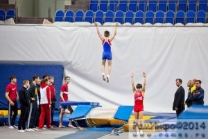 В Раменском Российская федерация прыжков на батуте трижды проведет всероссийские соревнования в 2014 году