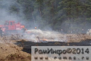 ПОЖАР ПАЛ ТРАВЫ (1)