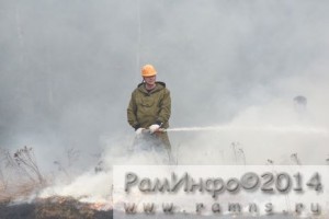 ПОЖАР ПАЛ ТРАВЫ (5)