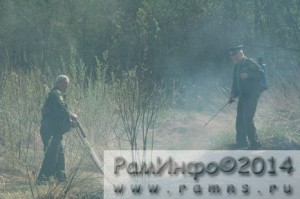 ПОЖАР ПАЛ ТРАВЫ (7)