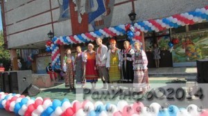 Выступление ансамбля МУК ДК Константиновский