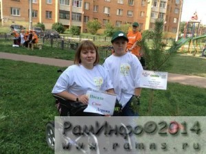деревья (1)
