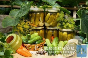 29.07.2015 г. в эфире Раменского радио