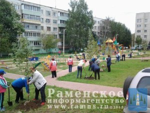 Около 700 человек приняли участие в посадке деревьев в с.п.Новохаритоновское