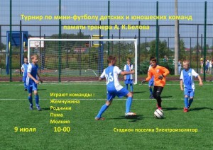 Турнир по мини-футболу пройдет в п.Электроизолятор 9 июля
