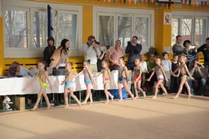 Фестиваль по художественной гимнастике прошел в поселке имени Тельмана