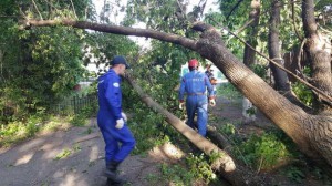 В Быково оперативно устраняют последствия урагана