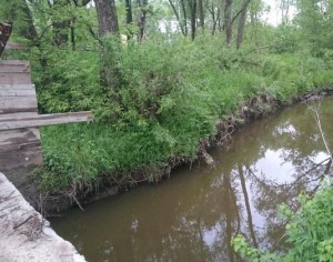 Минэкологии устанавливает виновников изменения русла реки Донинка в Раменском районе