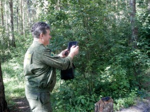 В лесах Московской области продолжаются мероприятия по контролю «Антимусорный рейд»