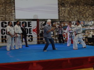 Новый зал для занятий каратэ открыли в Нижнем Мячково в четверг