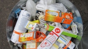 Контейнеры для сбора люминесцентных ламп и батареек начнут устанавливать в Раменском районе