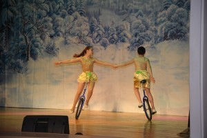 На сцене ДК им.Воровского 26 января выступили детские цирковые коллективы