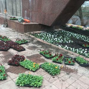 В Раменском открыт сезон цветов