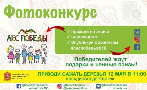 Фотоконкурс пройдет в Подмосковье в рамках акции «Лес Победы»