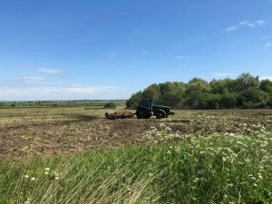 Сельхозпредприятия Раменского района приступили к заготовке кормов для животноводства