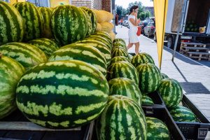 Десять объектов незаконной торговли выявили в Раменском