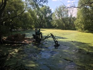 По муниципальной программе администрации Раменского района очищен и благоустроен водоём в д. Натальино