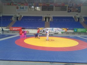 В ДС «Борисоглебский» состоялось Первенство Раменского района по самбо