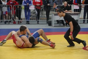 Во ДС «Борисоглебский» прошел XV Открытый турнир по греко-римской борьбе памяти Петра Терехова