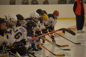 Хоккеисты из Раменского приняли участие в Первенстве Подмосковья