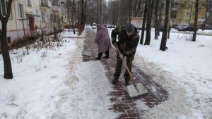 Проверку прошли