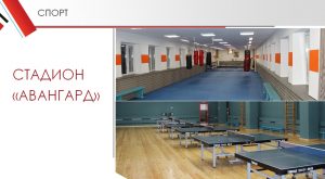 В 2019 году в Раменском районе продолжат работы по реконструкции и строительству спортивных объектов