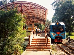 В поселке Кратово Раменского района 26 мая начнет работать детская железная дорога