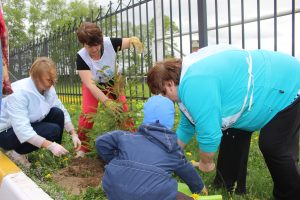 Жители с.п.Новохаритоновское присоединились к акции «Лес Победы»