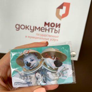 Подмосковным школьникам автоматически продлят льготную карту «Стрелка»