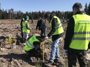 Инспекторы Госадмтехнадзора посадили 200 саженцев сосны в Раменском г.о. в рамках акции «Наш лес. Посади свое дерево»