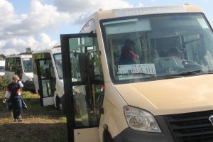 С 28 марта по 5 апреля общественный транспорт в Подмосковье будет работать по расписанию воскресенья