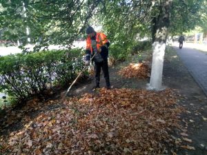 В г.Раменское продолжаются плановые работы по содержанию территории