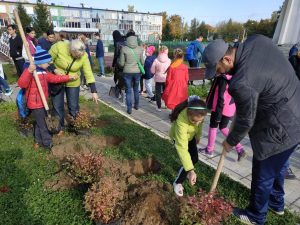 Областная экологическая акция «Наш лес. Посади свое дерево» проходит в эти минуты в п.им.Тельмана