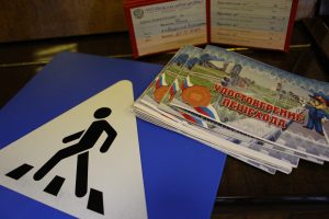 В Раменском г.о. сотрудники подмосковной Госавтоинспекции провели тематическое мероприятие «Посвящение в юные пешеходы»  для школьников с ограниченными возможностями здоровья