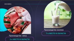 Положительной оценки в 2019 году заслуживает работа сельхозпредприятий Раменского городского округа