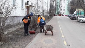 В Раменском продолжаются работы по уборке территории