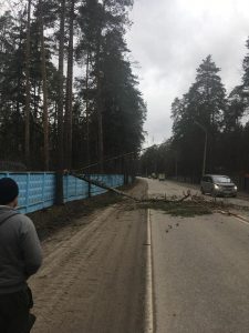 В «Кратово» Раменского г.о. ведутся работы по ликвидации последствий порывистого ветра