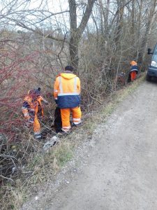 В ТУ «Ганусовское» проведены работы по уборке мусора с обочин дорог