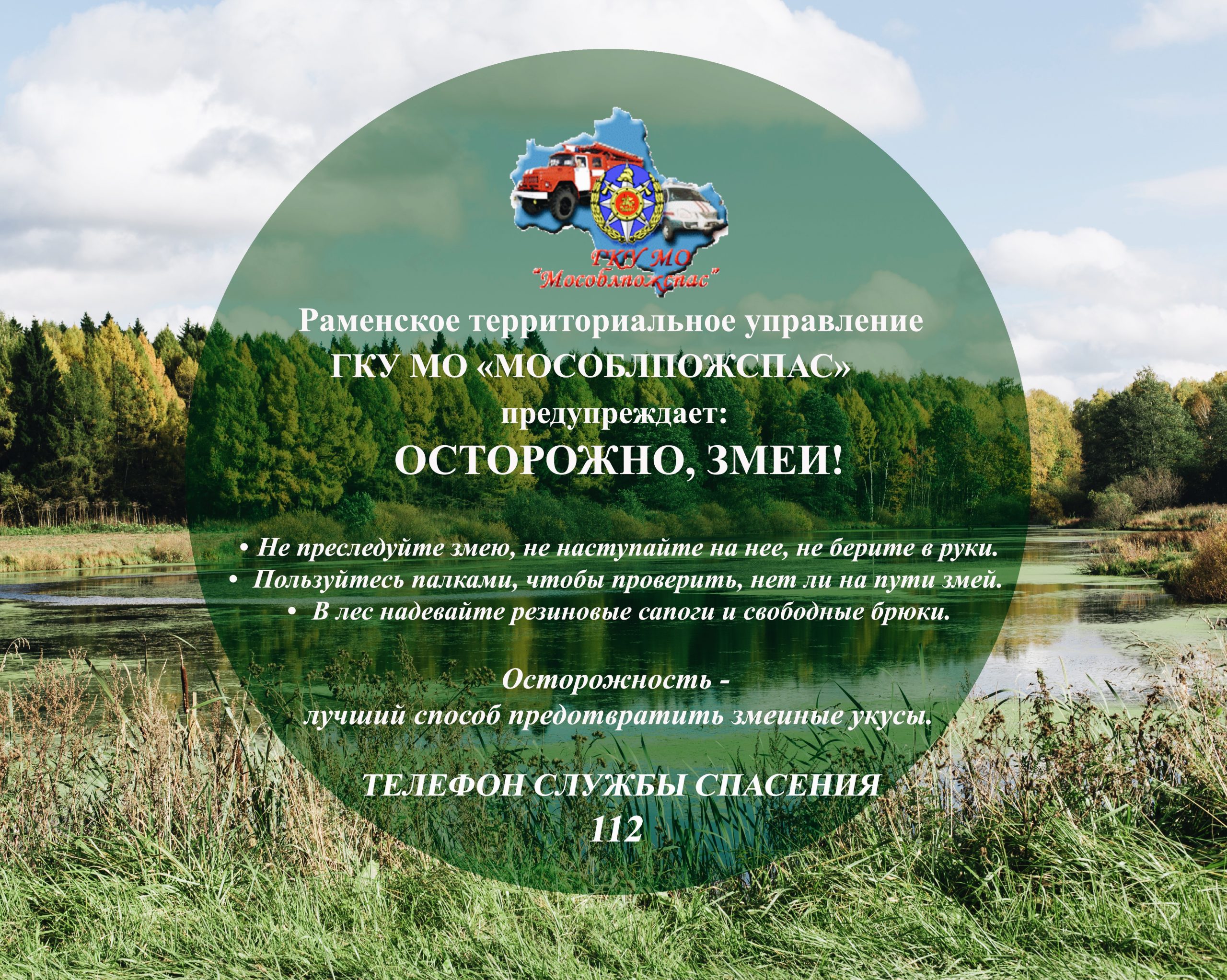 Осторожно! Змеи! - РамМедиа - Раменский городской округ - Раменское