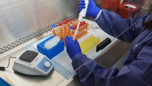 Жители Раменского городского округа могут пройти бесплатное тестирование на антитела к COVID-19