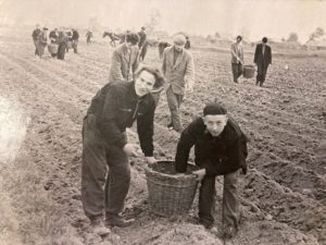 Восстановление и развитие народного хозяйства Раменского района в послевоенные годы