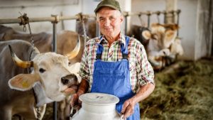 Раменские фермеры могут получить гранты на развитие семейных ферм