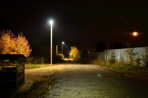 В 2020 году на территории ТУ «Гжельское» в системе наружного освещения появились новые улицы