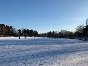 Жители поддержали проект реабилитации Быковского пруда