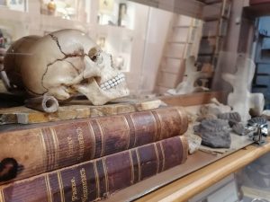 Точка на карте. Музей фармакологии мозга и биотехнологий в Донино