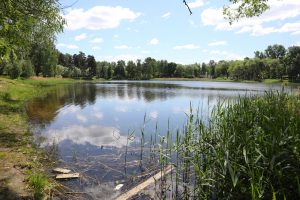 Быковский пруд приведут в порядок