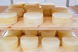 Московская область – лидер по производству сыра