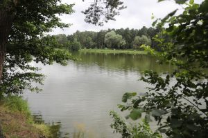 Кратовское озеро вошло в областную программу по очистке водоемов